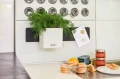 Zestaw 3 donic na ścianę Lechuza Cube Home Kit