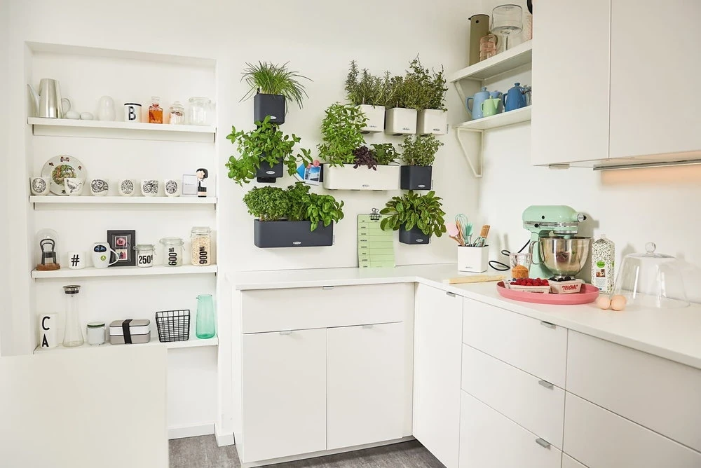 Zestaw 3 donic na ścianę Lechuza Cube Home Kit