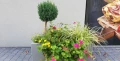 Donica betonowa 80x80x60 cm (h)