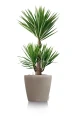 Głęboka donica Classico Color 70 (70x65cm)