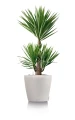 Głęboka donica Classico Color 70 (70x65cm) biały