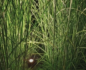 Pojedynczy reflektor ogrodowy Small Tops 1.4W 24V