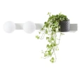 Kinkiet ścienny z półką na roślinę Botanica