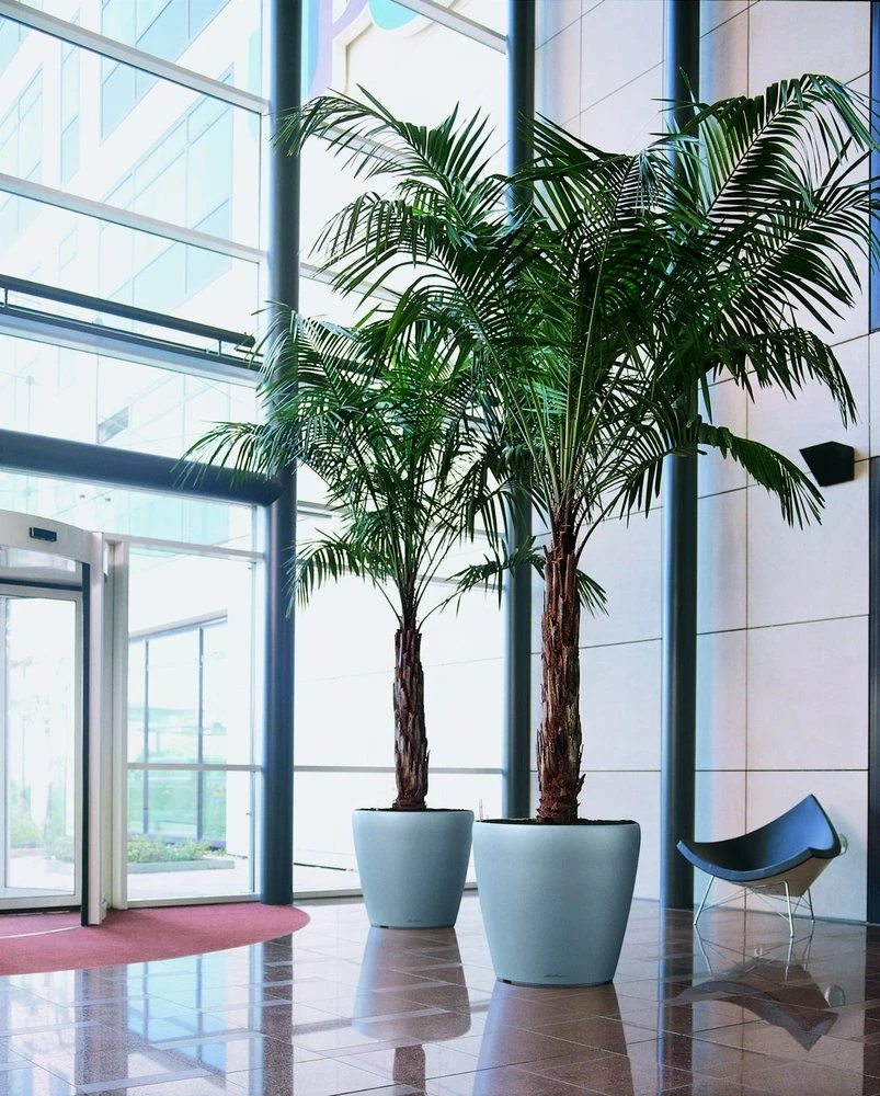 Donica Lechuza Classico Premium 70