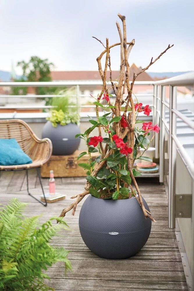 Donica kulista Lechuza PURO 50