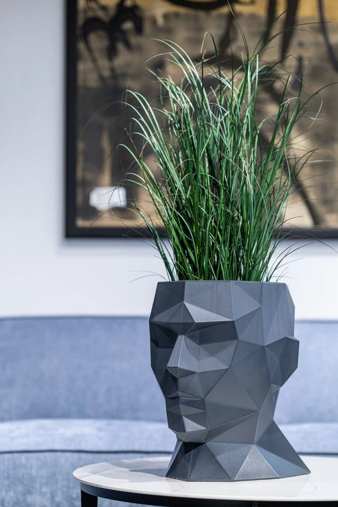 Donica Adonis w kształcie głowy