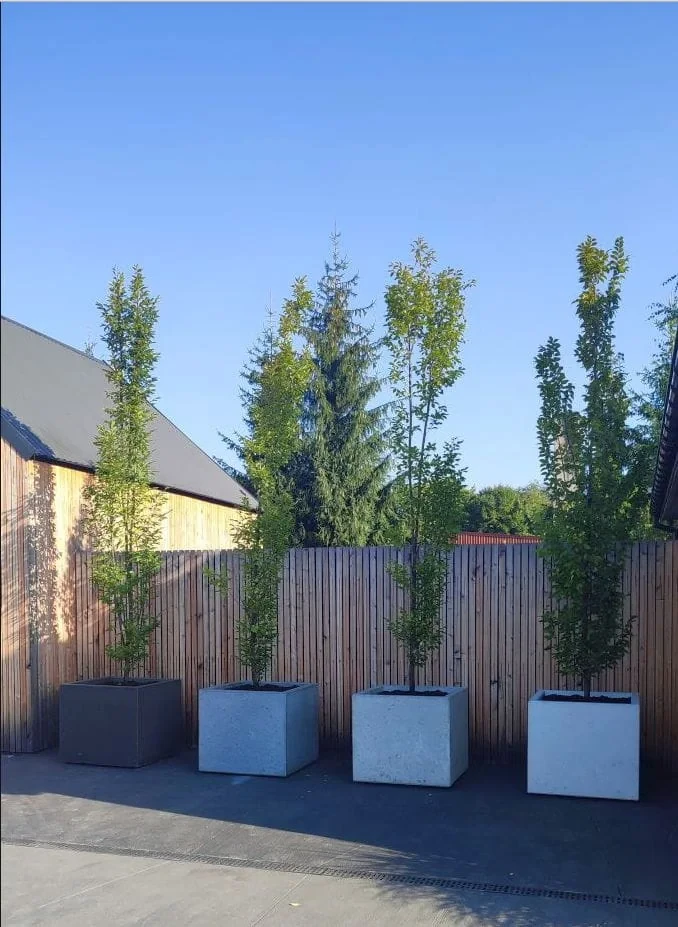 Donica betonowa 100x100x100 cm (h)