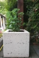 Donica betonowa 100x100x100 cm (h)