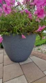 Donica plastikowa STONE śr. 48 wys. 37 cm