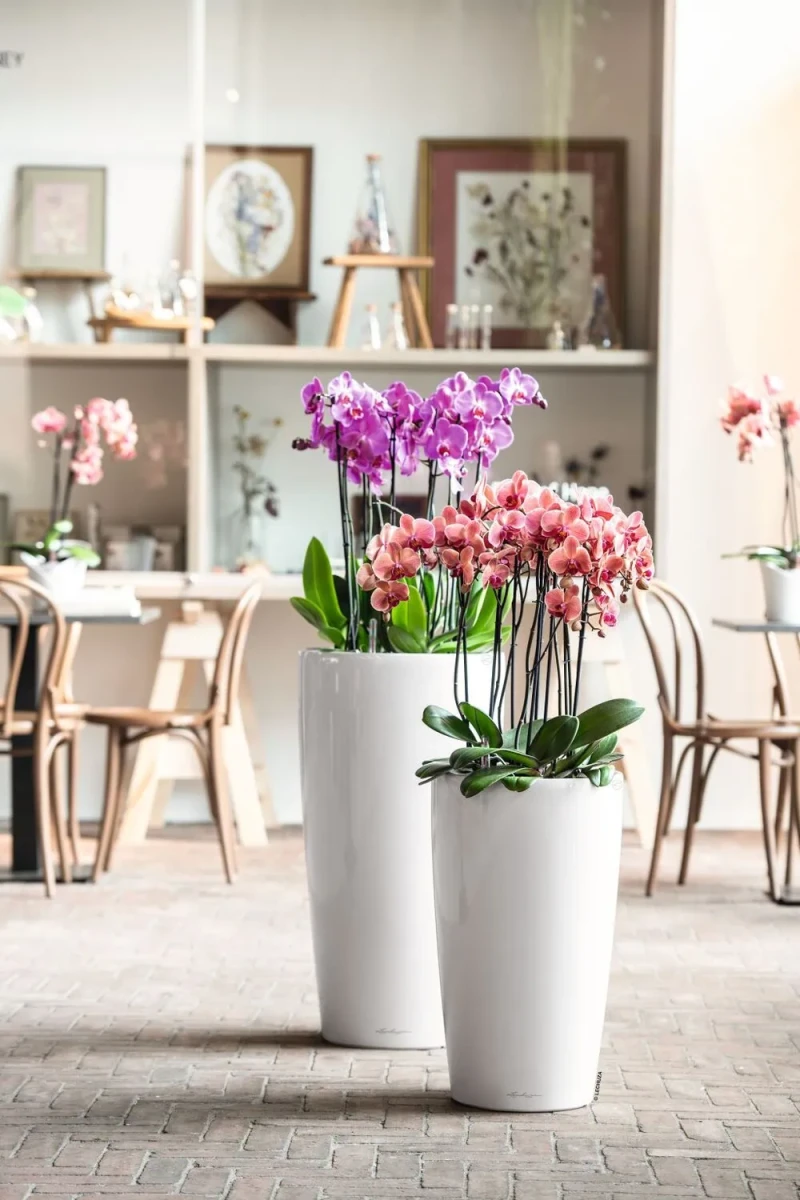 Donice Lechuza Rondo biały połysk