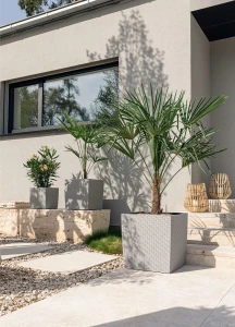 Donica CUBE Cottage 50