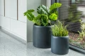 Donica Ambienti M 55 antracyt