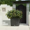 Donica CUBE Cottage 40