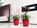 Donica Lechuza Classico Premium LS 28