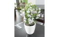 Donica Lechuza Classico Premium LS 28