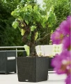 Donica CUBE Cottage 40
