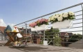 Donica Balconera Color 50 (kolory)