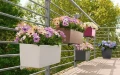 Donica Balconera Color 50 (kolory)
