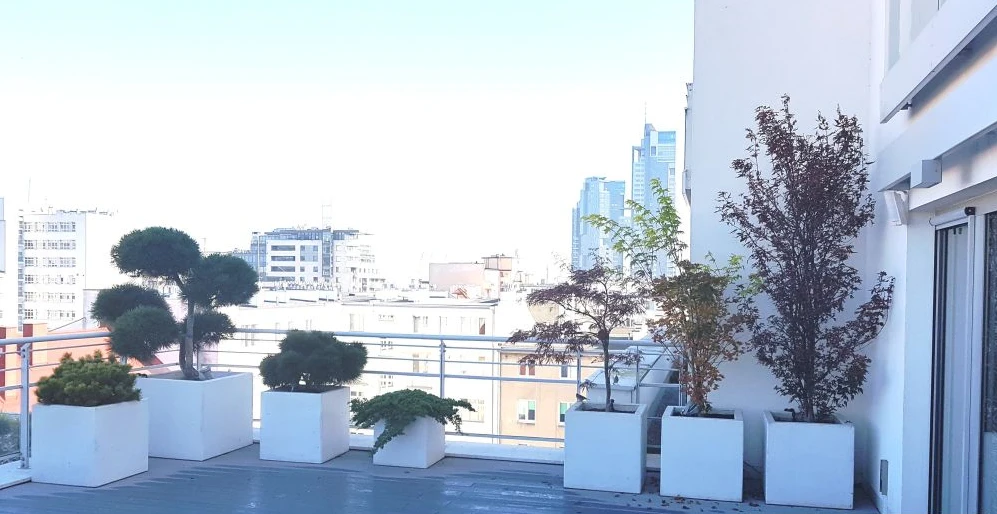 Duża donica betonowa 80x40x80 cm (h)