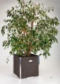 Donica technorattanowa CUBE
