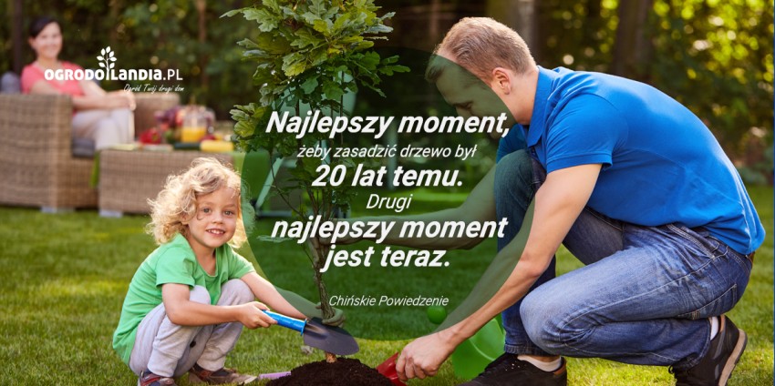 córka z ojcem sadzą drzewo w ogrodzie