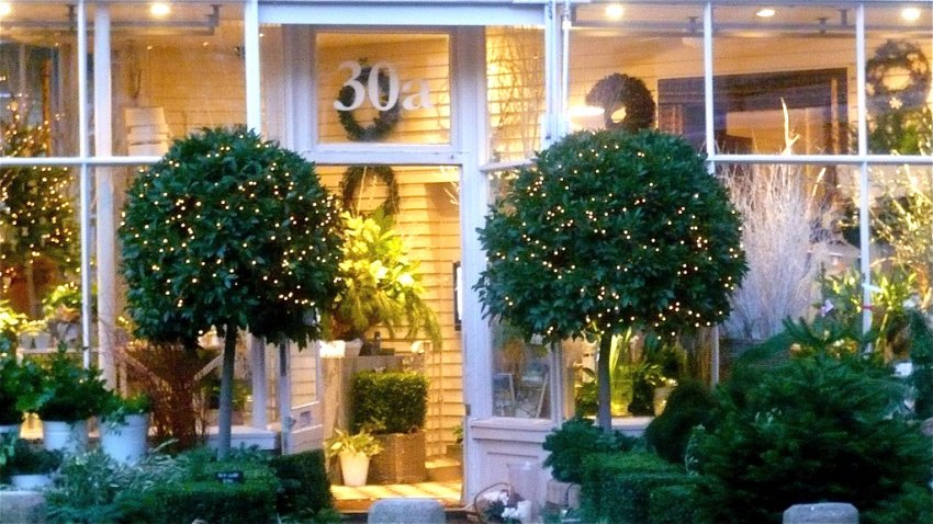 świąteczna witryna