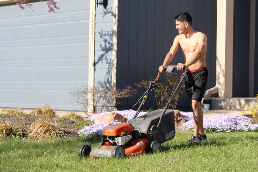 ogrodnik strzyże trawę za pomocą kosiarki spalinowej