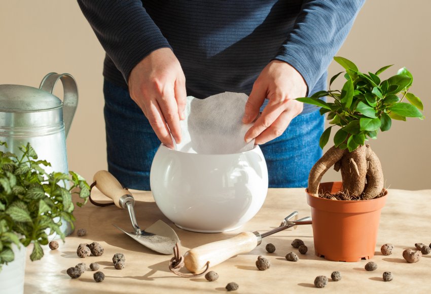 wkładanie agrowłókniny do donicy