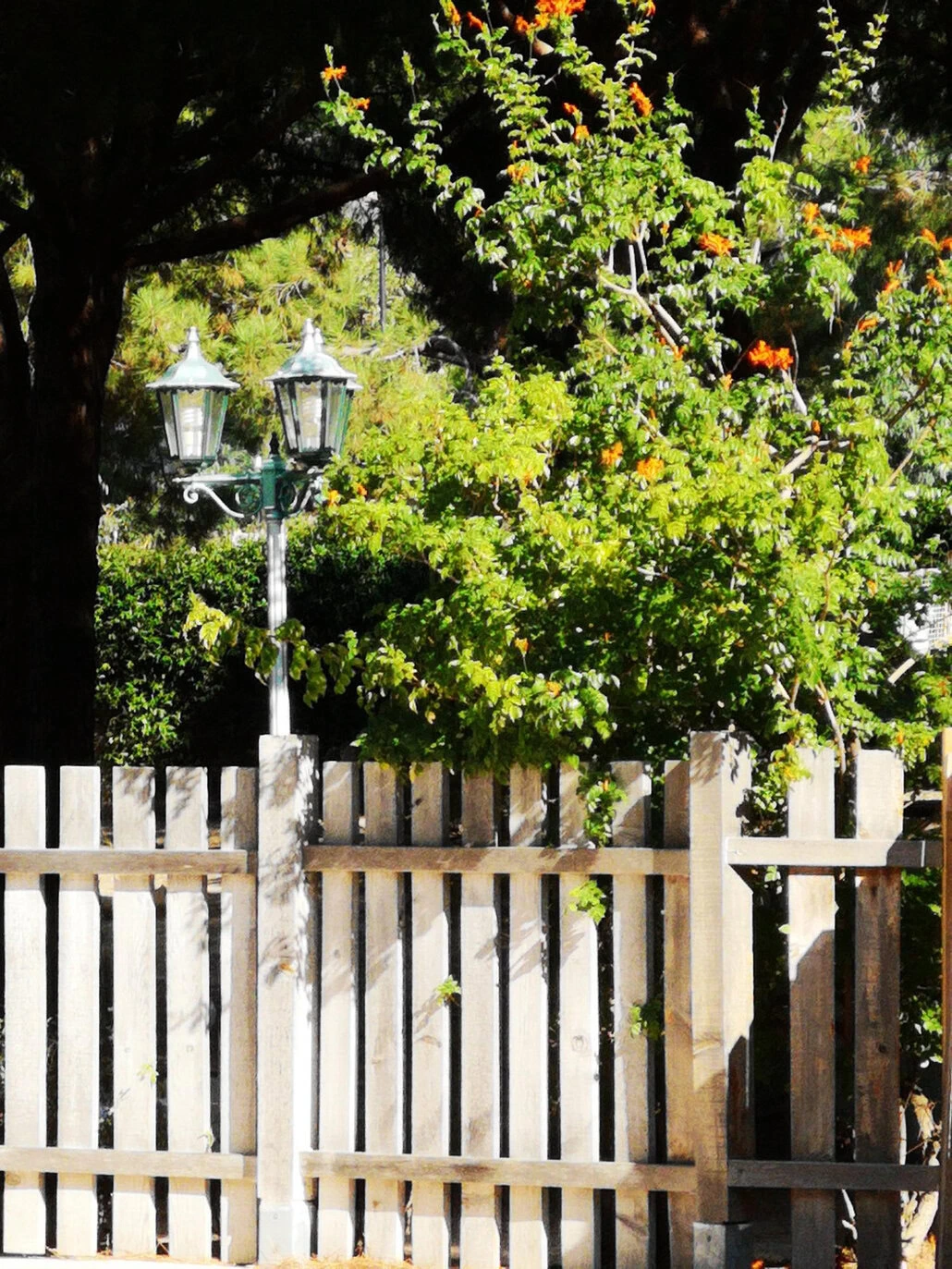 Drewniane ogrodzenie stoi przed bujną roślinnością z pomarańczowymi kwiatami. Obok ogrodzenia widoczna jest lampa uliczna w stylu vintage z dwoma latarniami