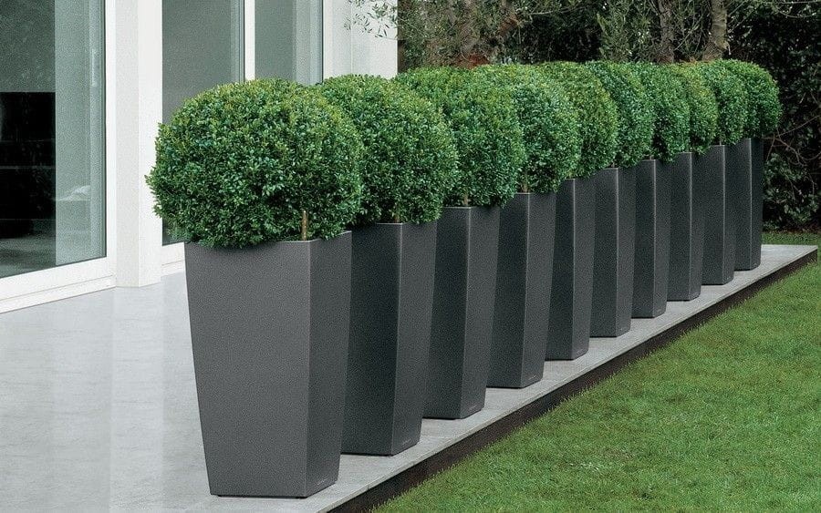 donice cubico w rzędzie