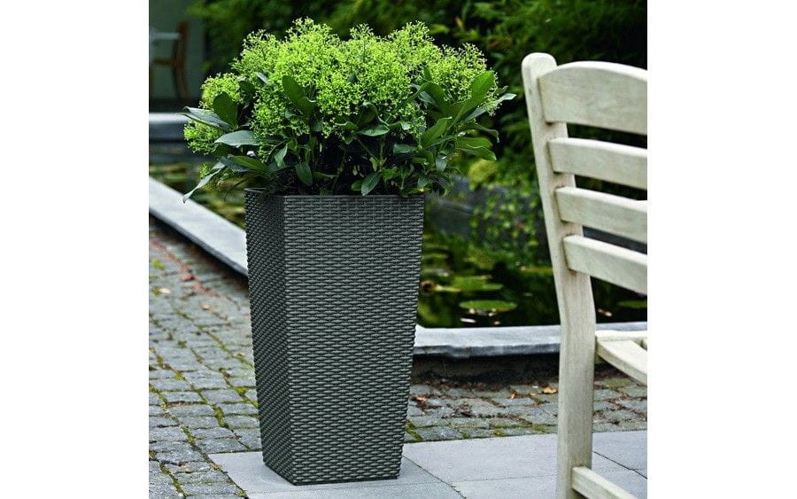 donica cubico cottage