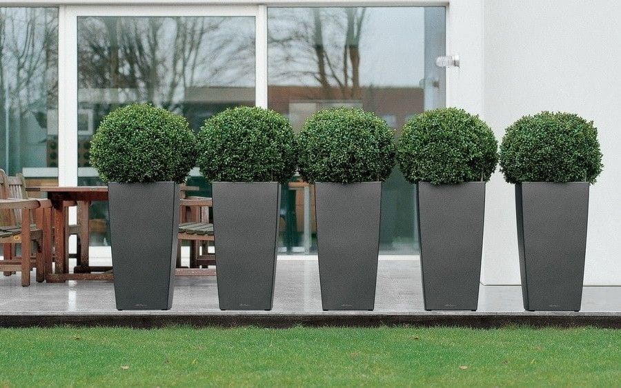 donice cubico w rzędzie