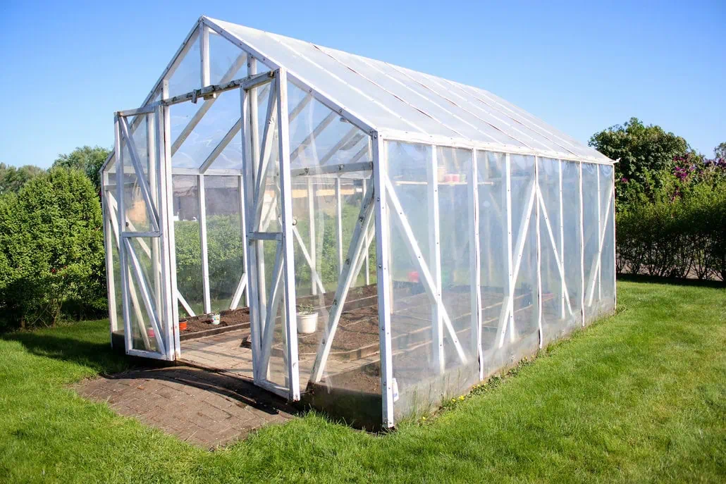 Przezroczysta szklarnia z białą ramą stoi na trawiastym trawniku, otoczona zielonymi krzewami i drzewami pod jasnoniebieskim niebem