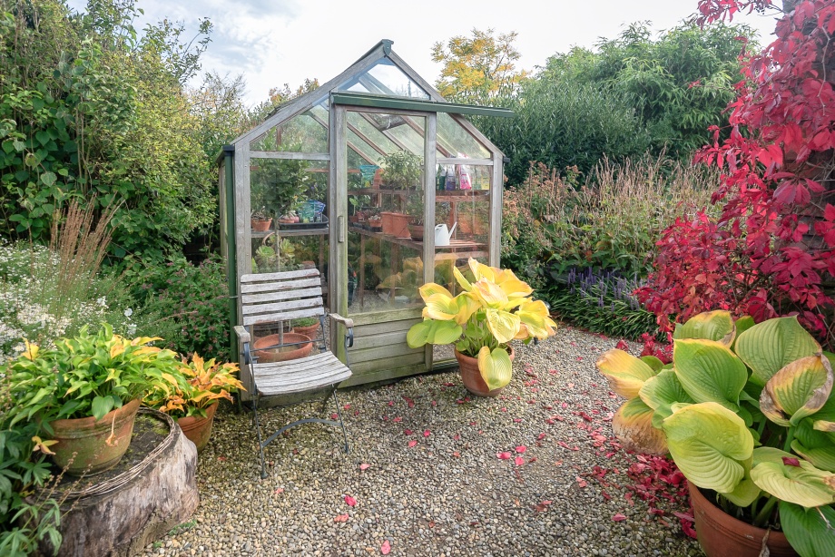 szklarnia z drewna i szkła