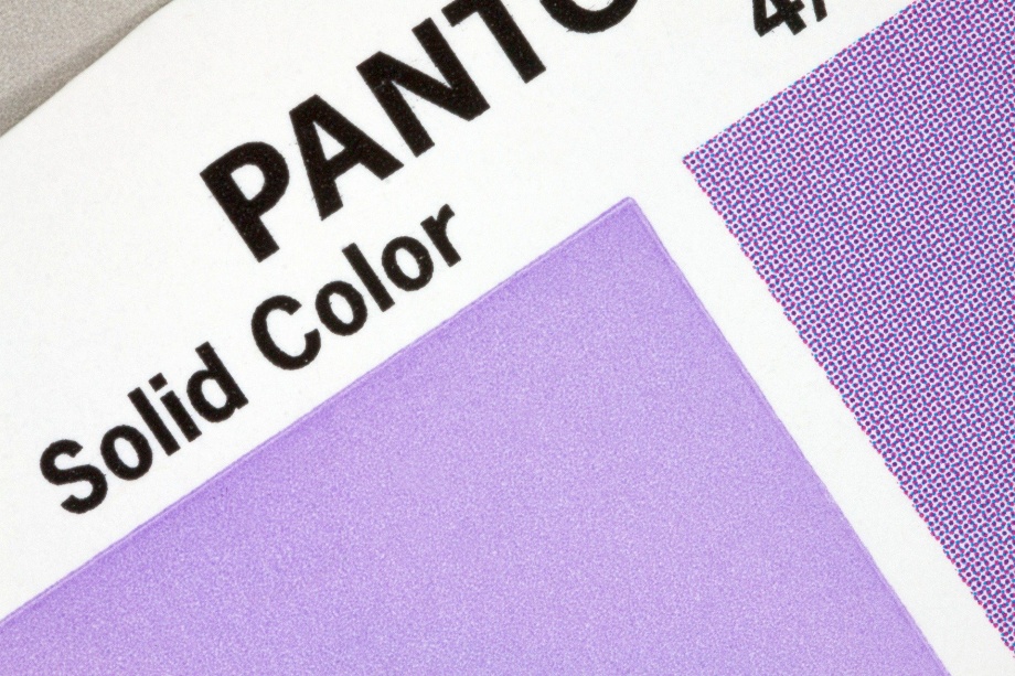 paleta pantone