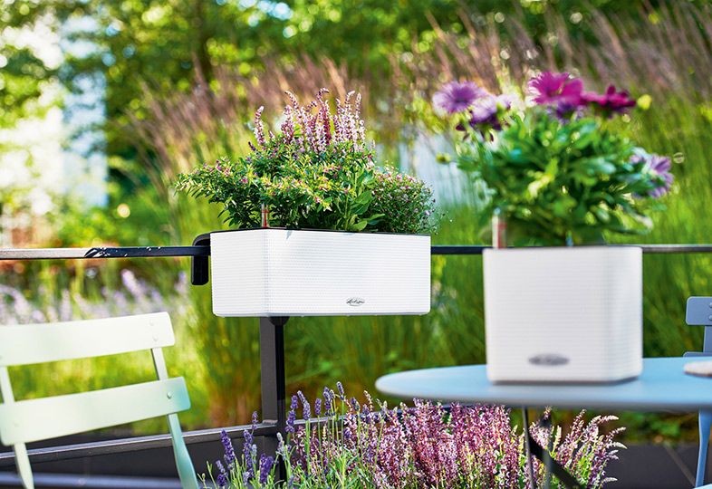 doniczki na balkonie