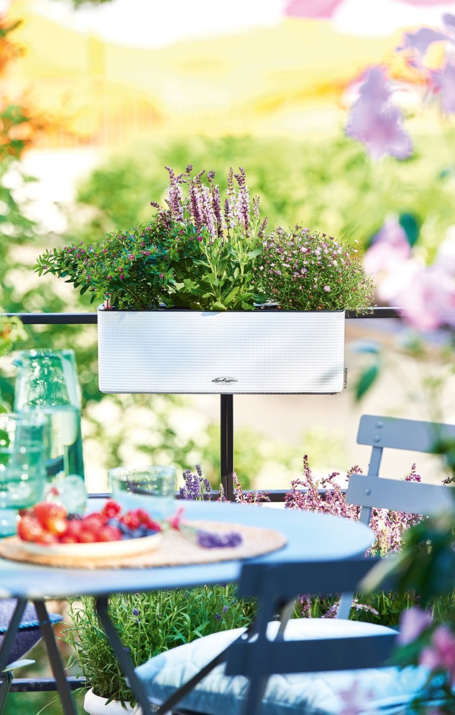 doniczka na balkonie