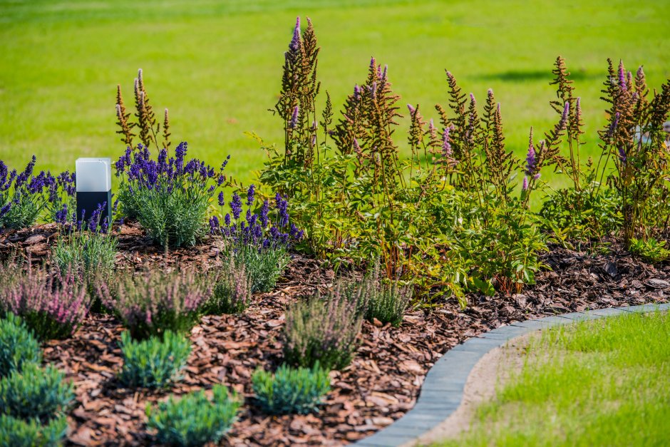 ściółka na rabacie