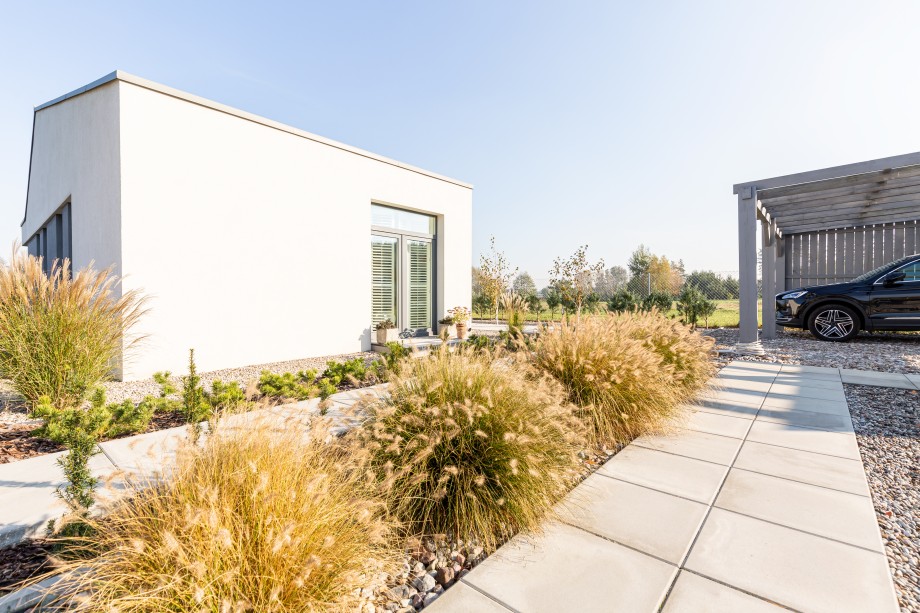 trawy ozdobne przy tarasie