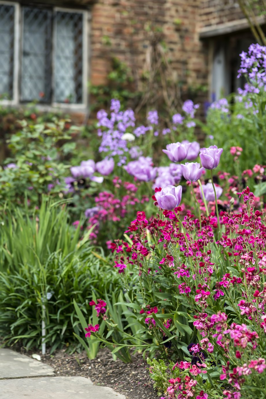 fioletowa kompozycja z kwiatów cebulowych