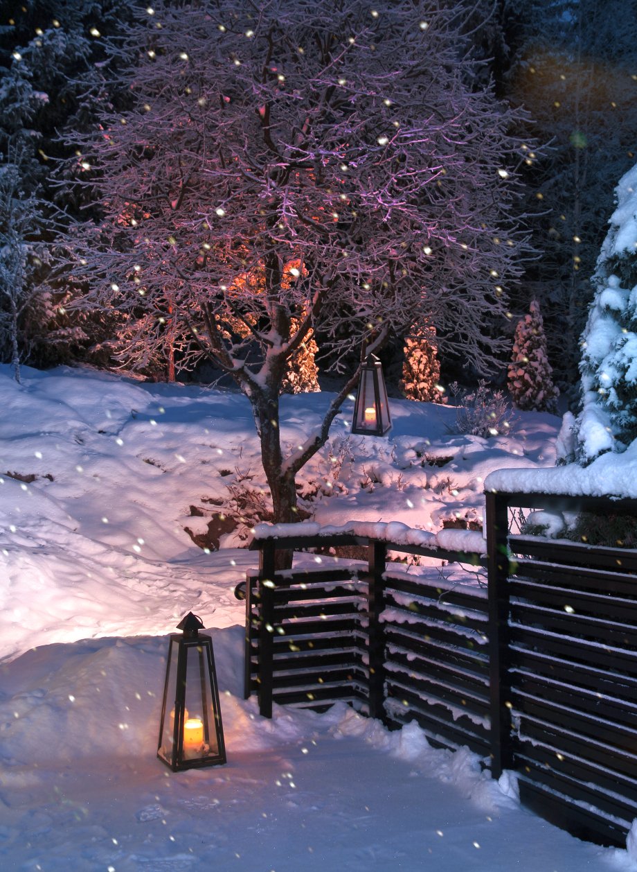 oświetlone drzewko zimą