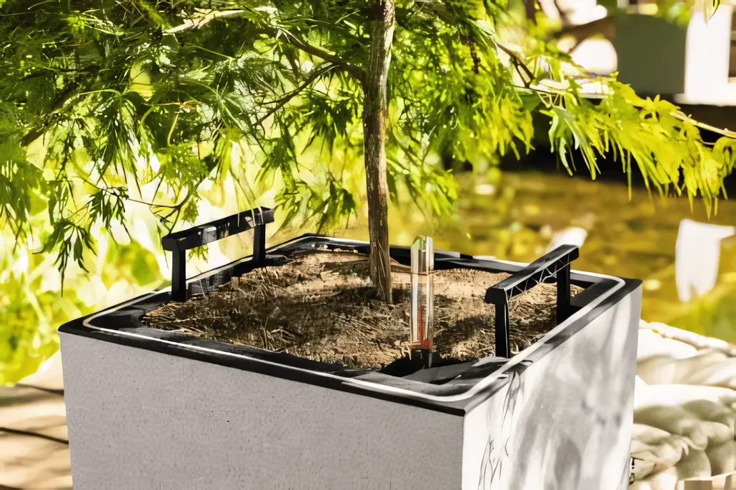 Małe drzewko rośnie w kwadratowej, szarej donicy wypełnionej ziemią. Czarne uchwyty i wskaźnik poziomu wody są przymocowane do sadzarki, która jest umieszczona na zewnątrz w świetle słonecznym.