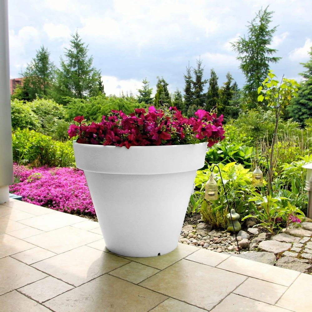 Duża donica Saturn z roślinami