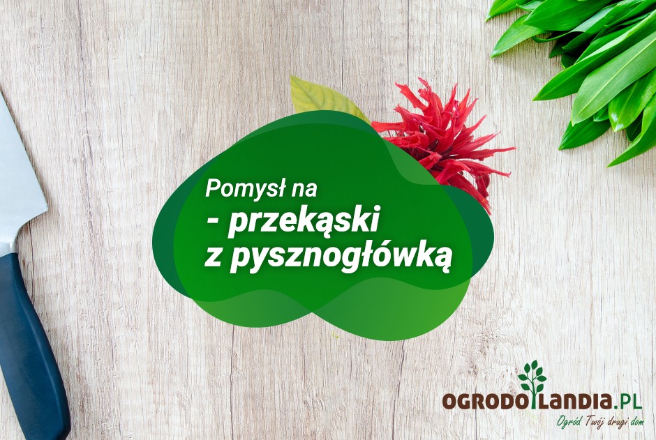 pomysły na przekąski z pysznogłówką