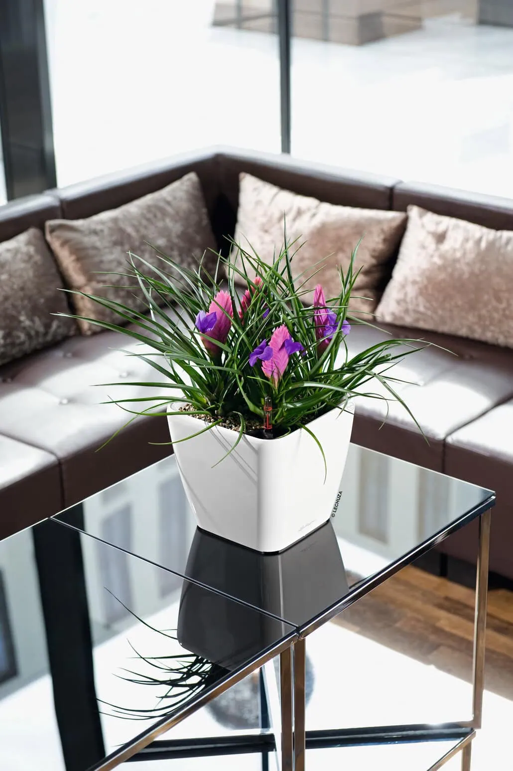 donica Quadro na lustrzanym stole