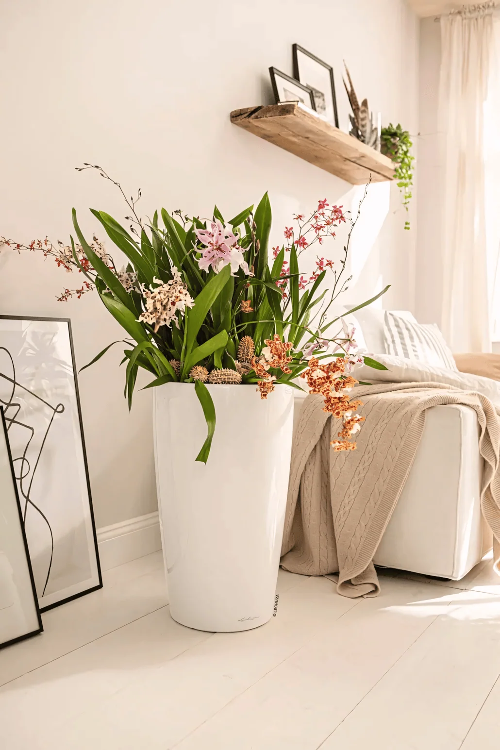 Duża, biała donica RONDO Premium 40 wypełniona kolorowymi kwiatami orchidei stoi na jasnej drewnianej podłodze obok białej kanapy nakrytej beżowym dzianinowym kocem. Przytulny, nasłoneczniony pokój zdobią oprawione obrazy i drewniana półka.