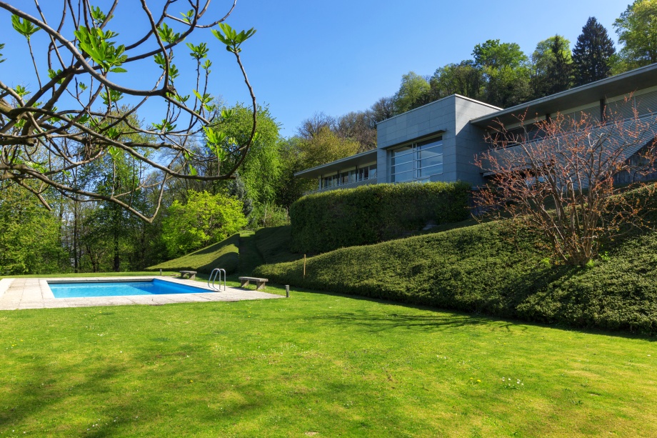 skarpa w ogrodzie z basenem