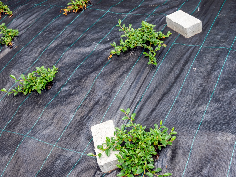 włóknina na skarpie