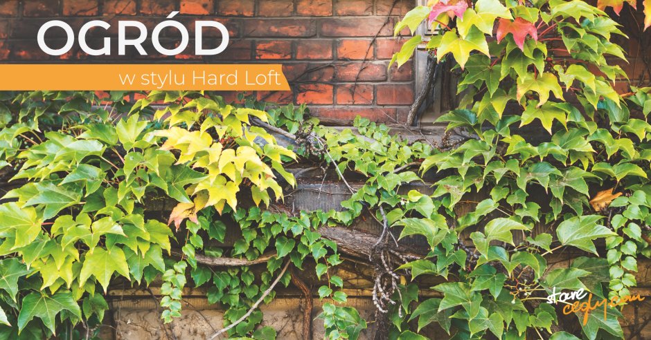 ogród w stylu hard loft