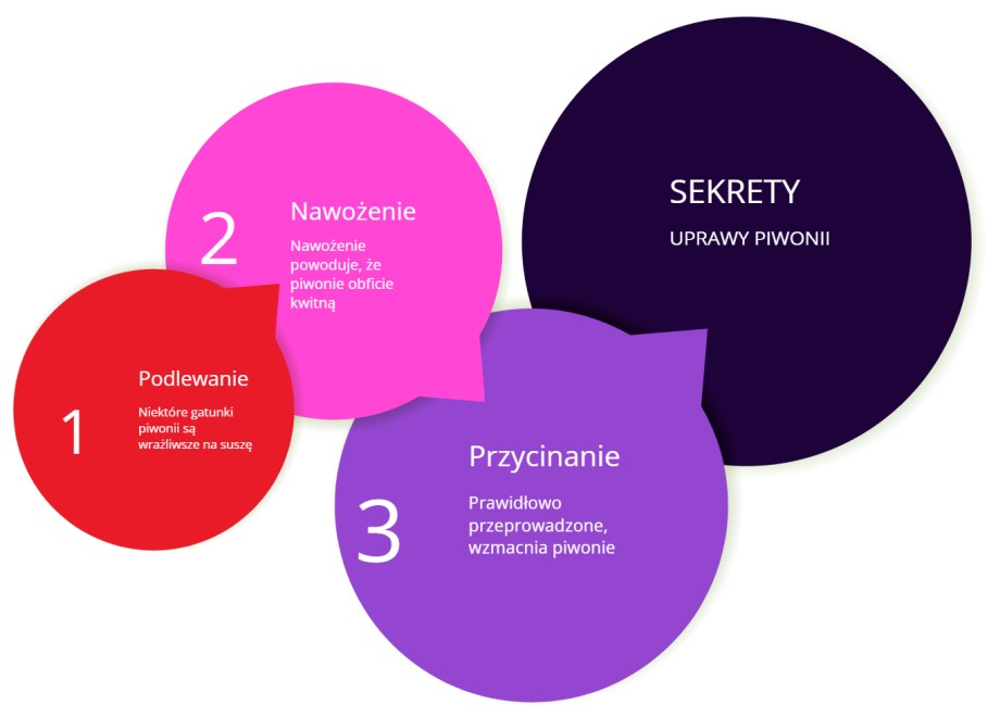 sekrety uprawy piwonii